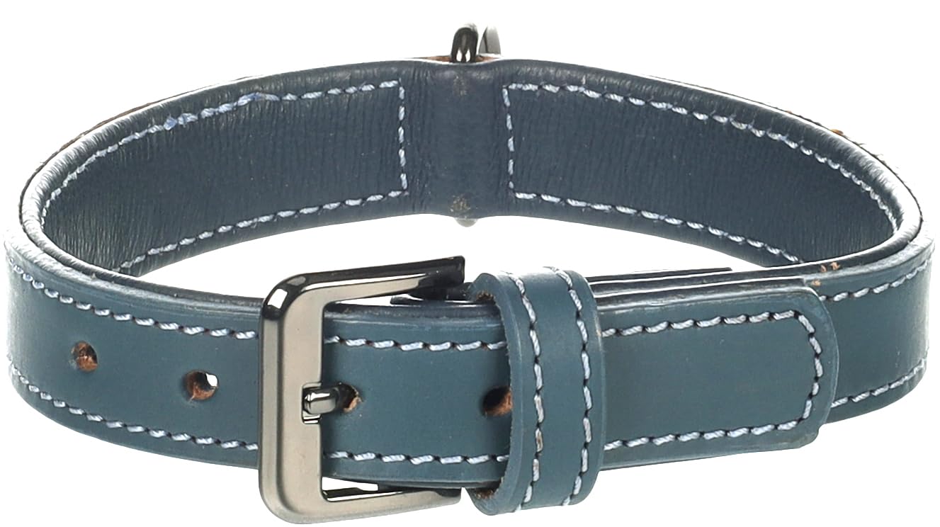 Flamingo Dog Collar with studs Denver Blue S/M 31-37cm 25mm