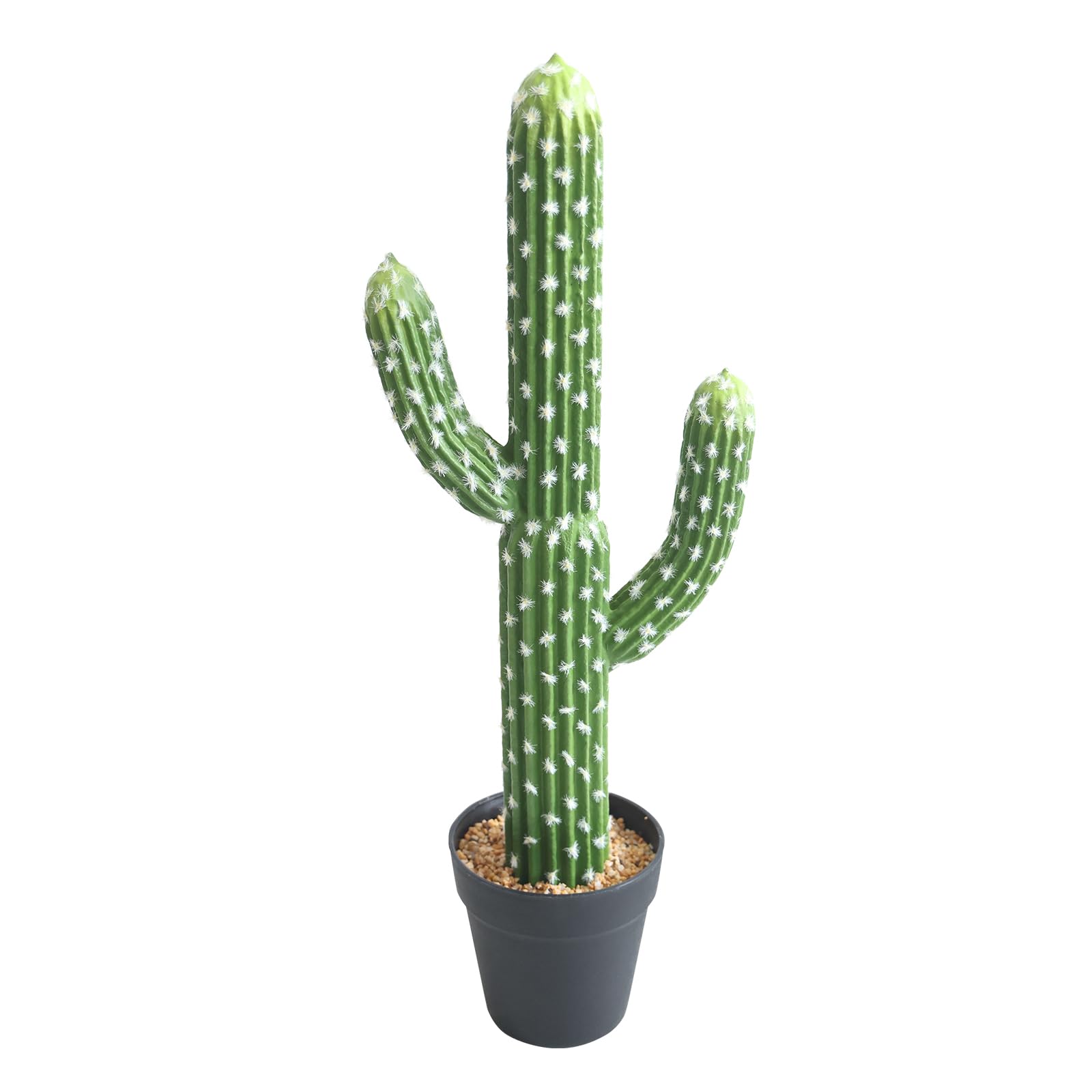 Amazon.com: momoplant Artificial Cactus Succulent Plant, 24 Inch Tall Faux  Fake Desert Cacti Plant with Black Planter for Home Garden Office Floor  Decor : Home & Kitchen