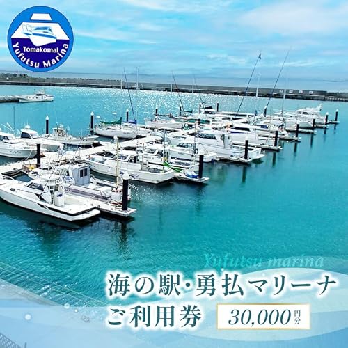 [Amazonふるさと納税チケット・サービス]海の駅・勇払マリーナ ご利用券