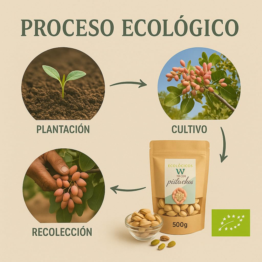 VENIO Pistachos 500g Tostados y Salados, Pistachos Naturales Ricos en Proteínas y Fibra, Pistacho Perfecto para Aperitivos, Ensaladas y Postres, Frutos Secos Naturales, Pistachio Saludable y Nutritivo