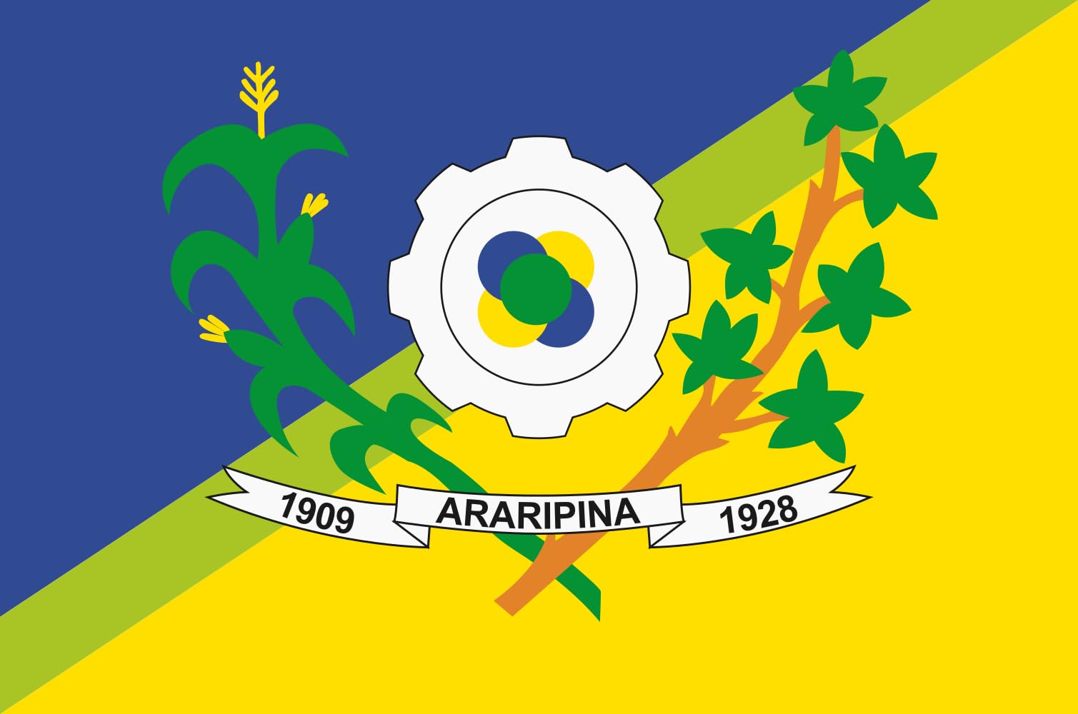 Drapeau Araripina d'excellence aux finitions haut de gamme pour mât