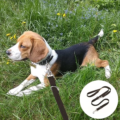 Hundeleine Große Hunde, Dog Leash, für Große Und Kräftige Hunde, Mit Zwei Karabiner (Schwarz 2,5 X 260 cm)