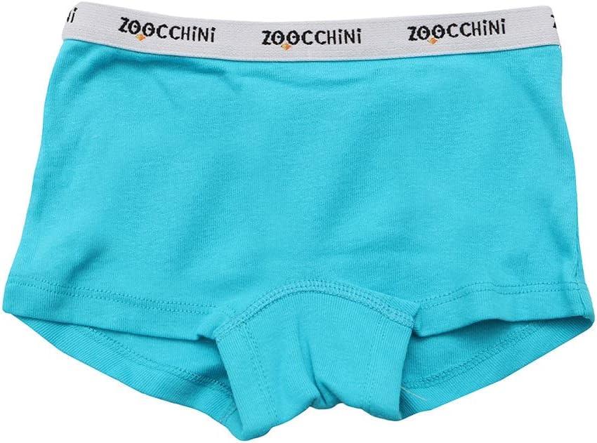 ZOOCCHINI 3 Piece Organic Hipster Underwear - Flower Power, 2-3 Years