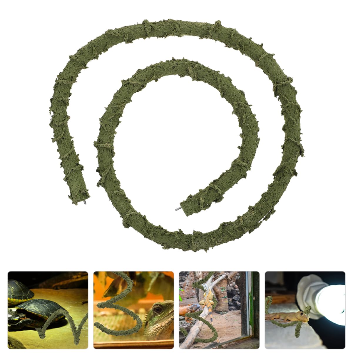 BESPORTBLE 5 Accessori Per Rettili Giocattoli A Forma Di Paguro Decorazioni Per Rettili Rampicanti Artificiali Giocattolo Decorativo A Forma Di Rampicante Per Rettili