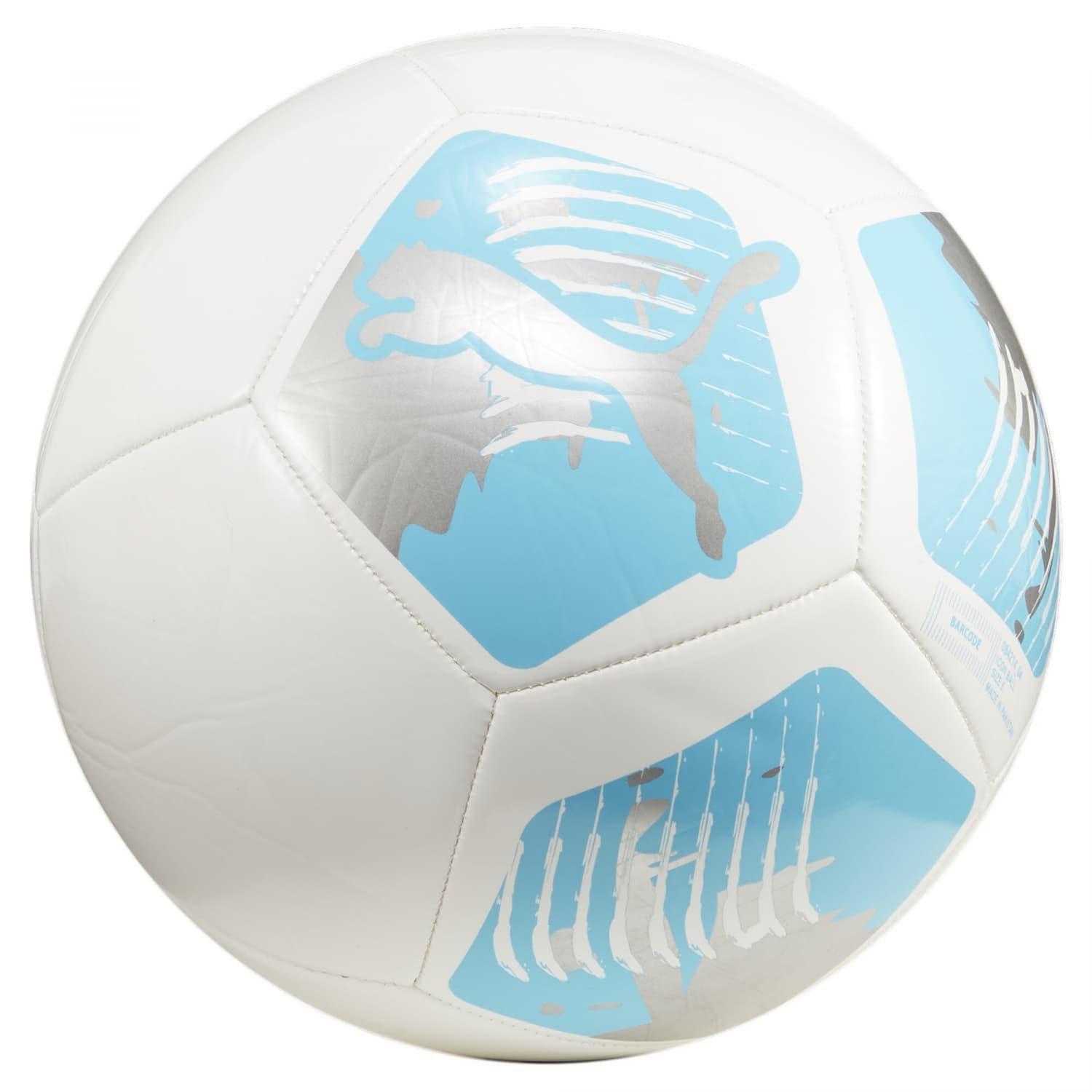 PUMA Big Cat ball