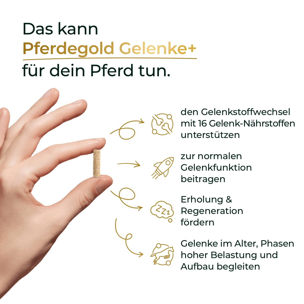 Gelenke+ 2.0 1,5kg - Gelenk-Pellets für Pferde
