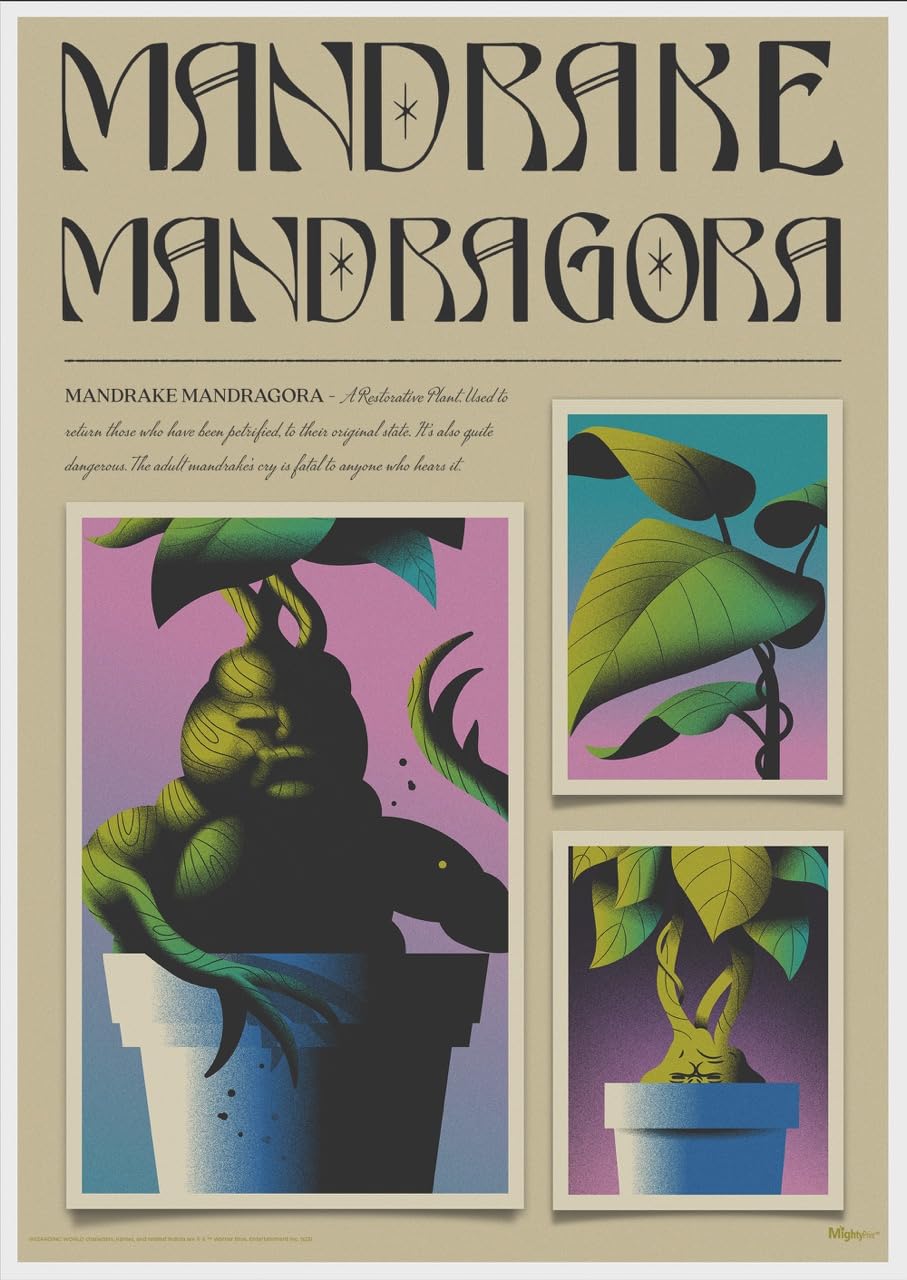 Amazon.com: MIGHTYPRINT Harry Potter – Mandrake Mandragora