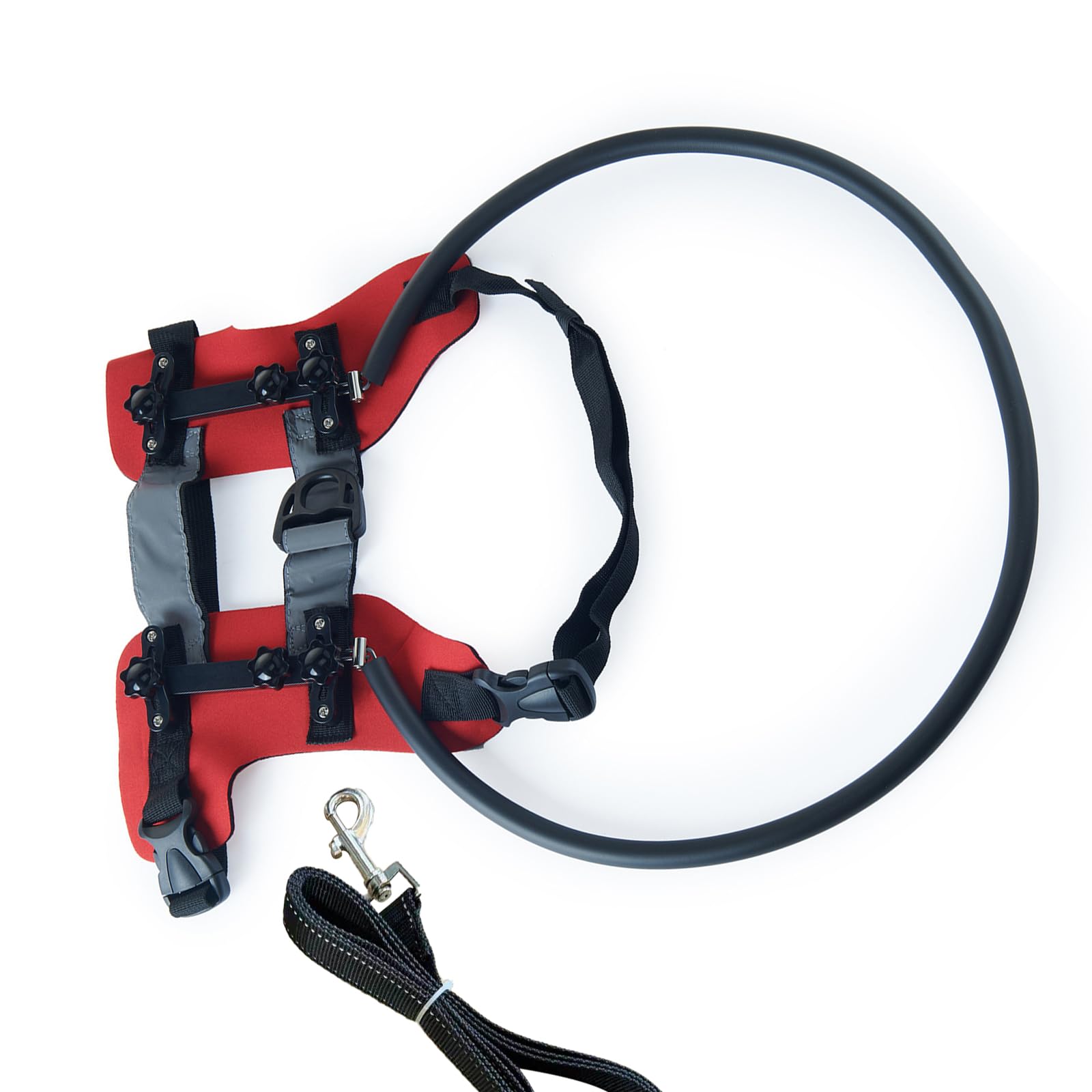 Harnais pour chien aveugle avec attache laisse et collier réglable
