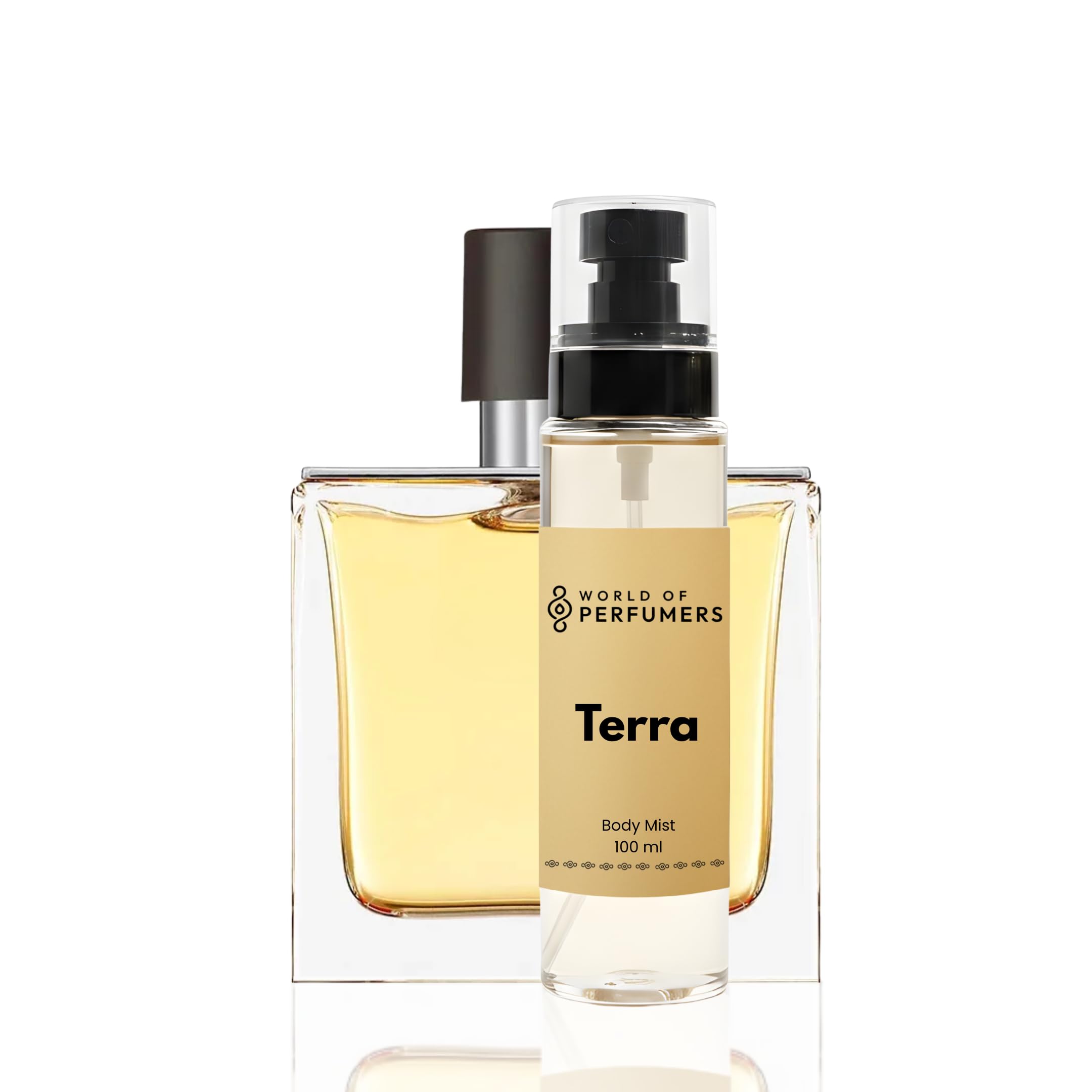 Terra Body Mist for Men | Inspired by Terre D'Hermes | Fresh & Woody Fragrance | Long Lasting Refreshing Body Spray | Daily Wear Perfume Mist | 100 ml-image-46