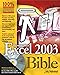Excel 2003 Bible