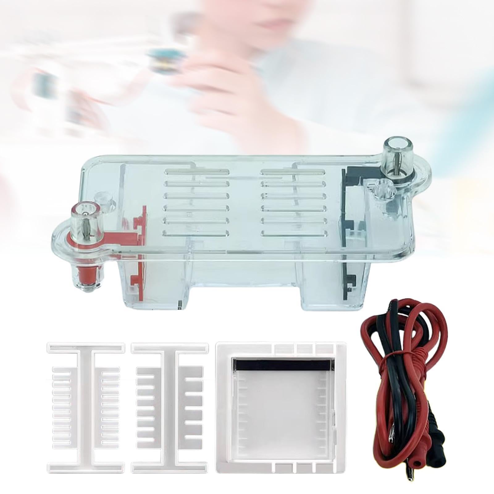 Elektrophorese Apparatur Set mit Gel Tank für Physik Experimente Gel Elektrophorese Rack aus PP Material Lehrmittel für Biologie Unterricht