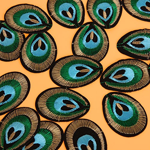 Winnereco 20Pcs Peacock Eye Embroidered Cloth Iron On Patch Sew Motif Applique (Peacock) #TOP3