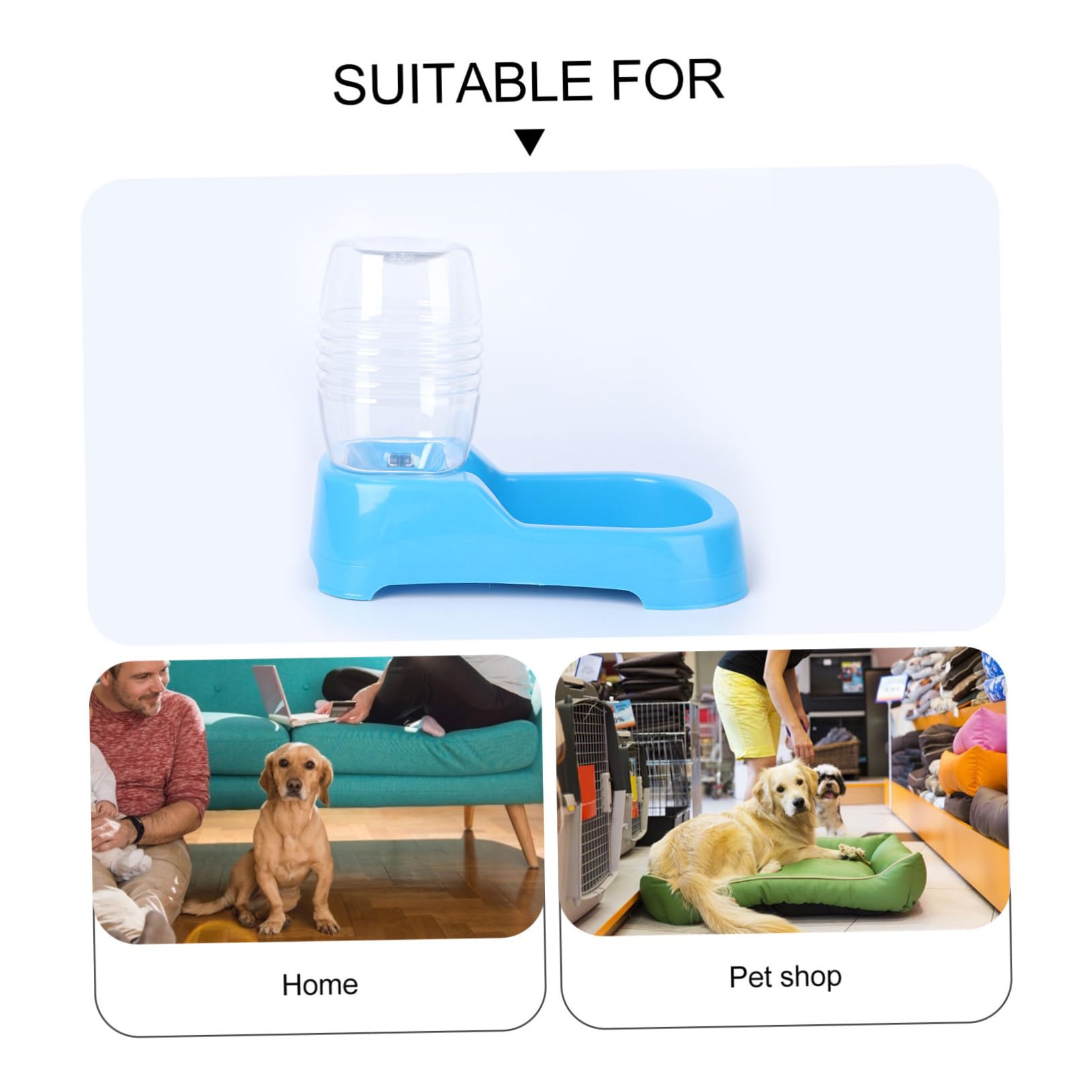 GALPADA Dog Water Feeder Creative Pet Drinking Tool Smooth Surface Design for Easy Use for Home and Pet Shops Blue Color Convenient Automatic Water Supply