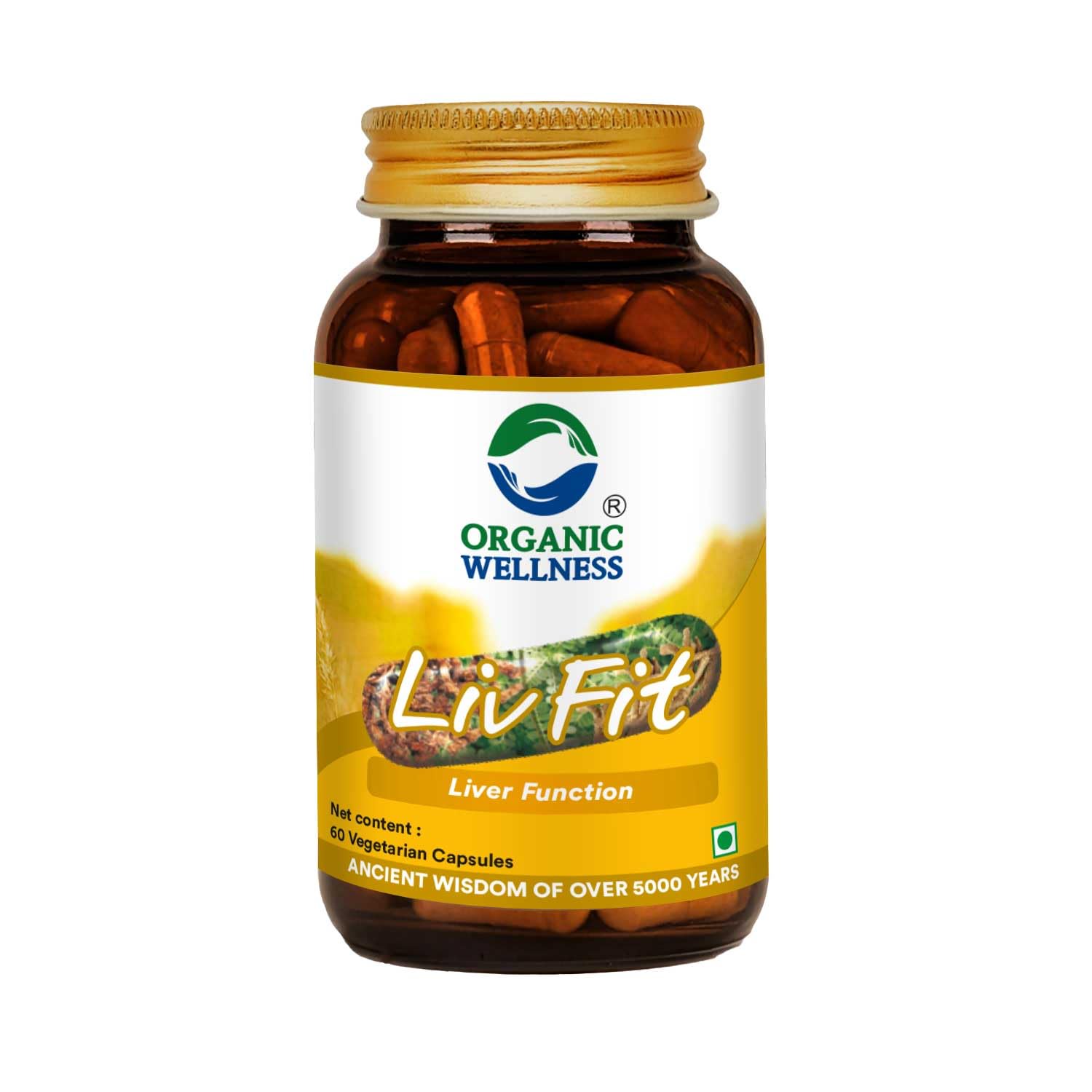 Organic Wellness Natural Liv Fit Supplement Liver Detox Ayurvedic Medicine for Purify Liver Cells & Helps With Fatty Liver (60 N Veg Capsules) (B0C8JJ6D1W) Amazon Price History, Amazon Price Tracker