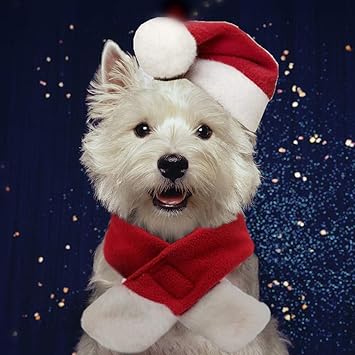 PULEIDI Pet Dog Cat Santa Hat Costume - Christmas Cat Costume with Hat and Scarf for Small Dogs, Perfect for Holloween,Holiday, Christmas,Party, Photos