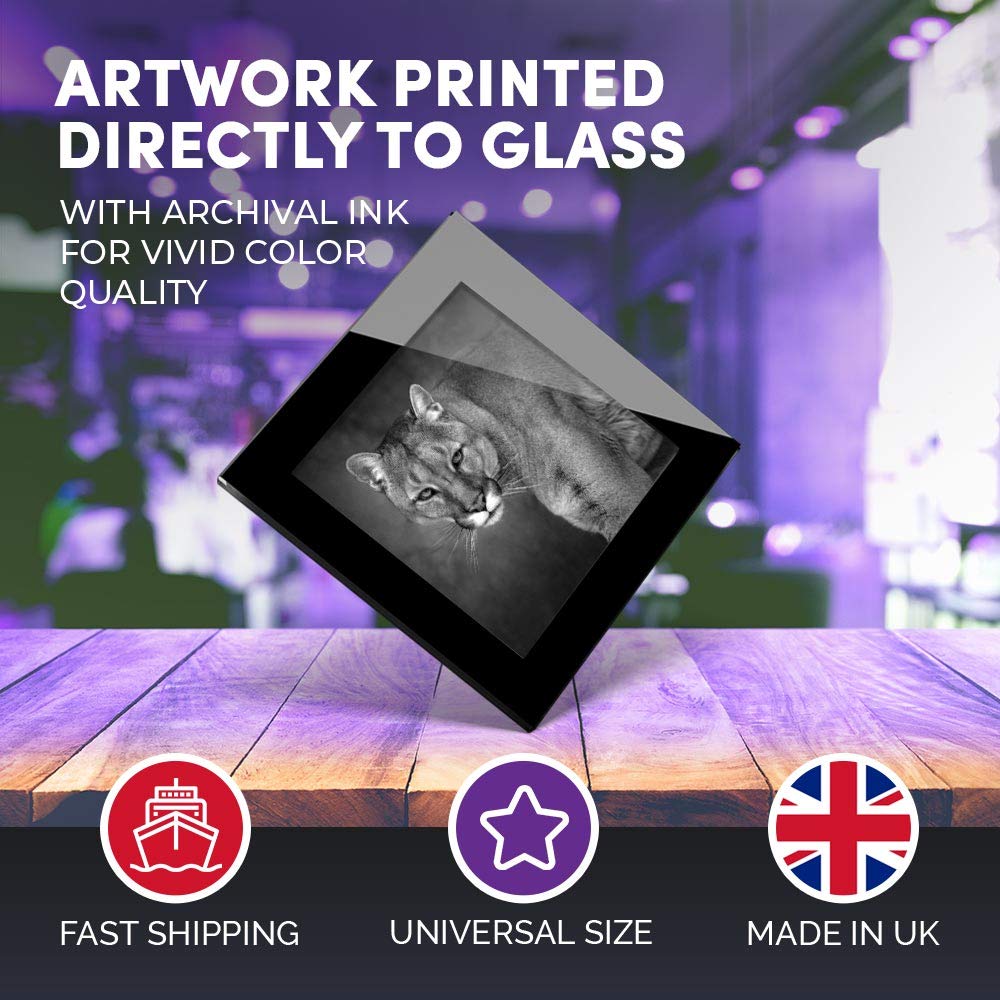 Impressionnant Dessous De Verre BW – Incroyable Tigre Sauvage Brillant De Qualité Pour Tout Type De Table #39609