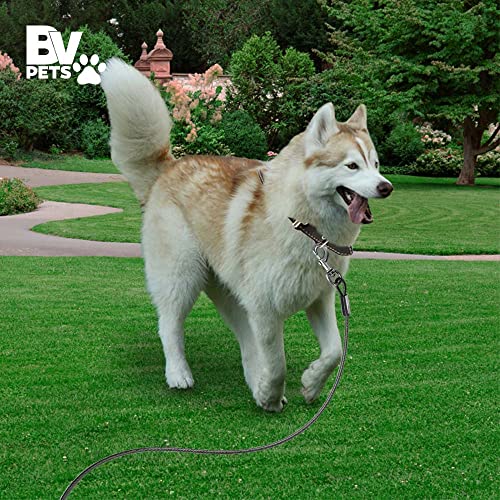 Bv Pet Super Heavy Xxl Tie Out Cable For Dogs Up To 250 Pound, 25 Feet #TOP7