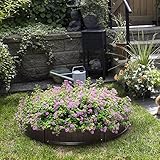 Zoom IMG-1 outsunny letto per orto rialzato Zoom IMG-1 outsunny letto per orto rialzato