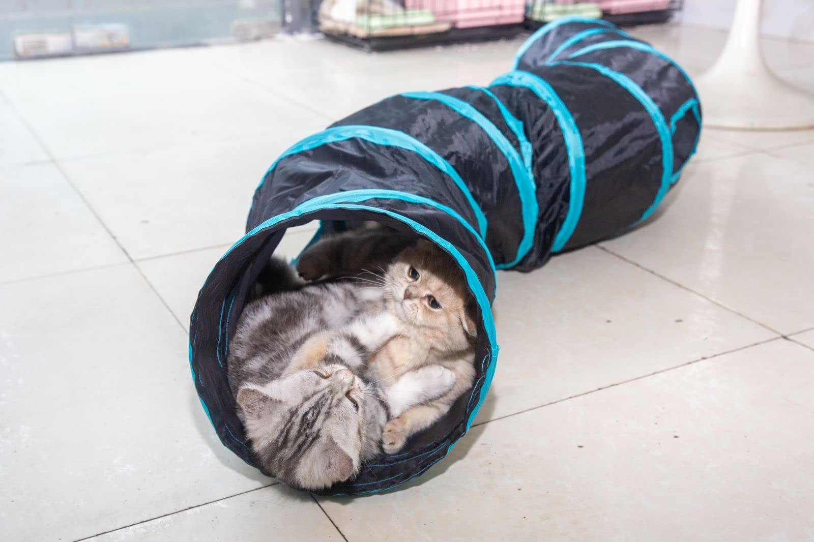 Tunnel pour Chat 2 Voies Tube de Tunnels Lapin Pliable Jouet Labyrinthe Interactif