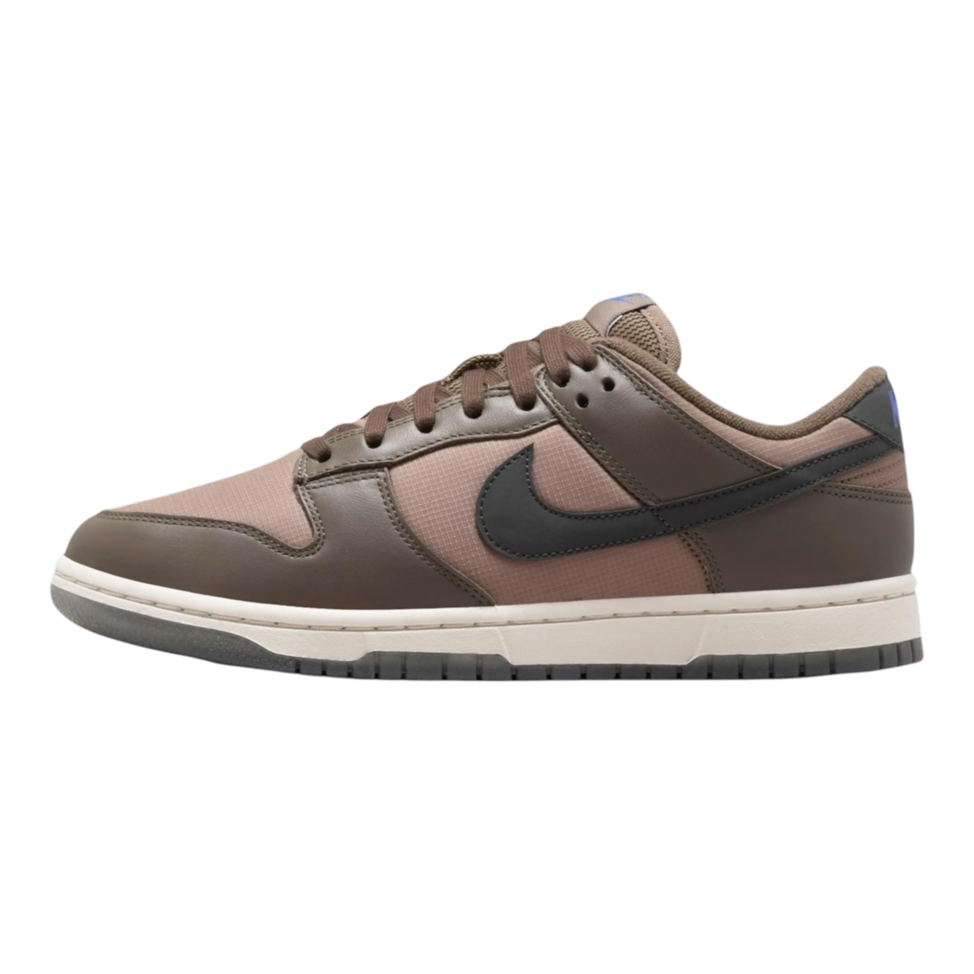 Nike Women's Dunk Low Sneaker