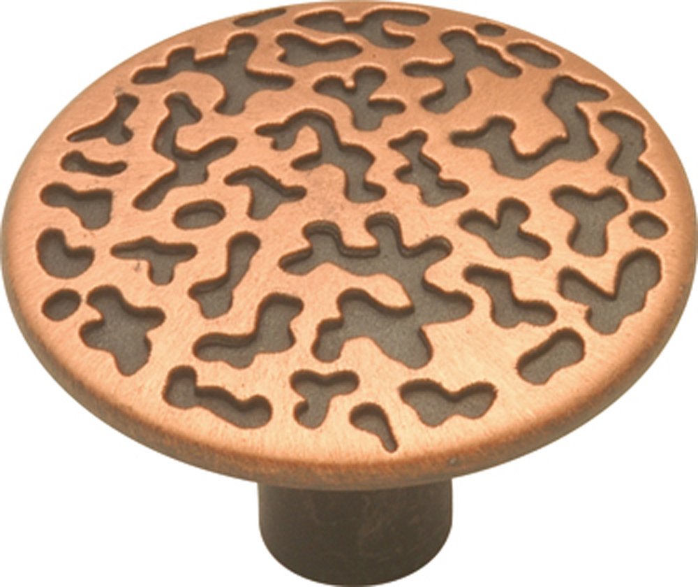 Bouton de meuble en cuivre antique Hickory Hardware P102-AC style lodge sud-ouest