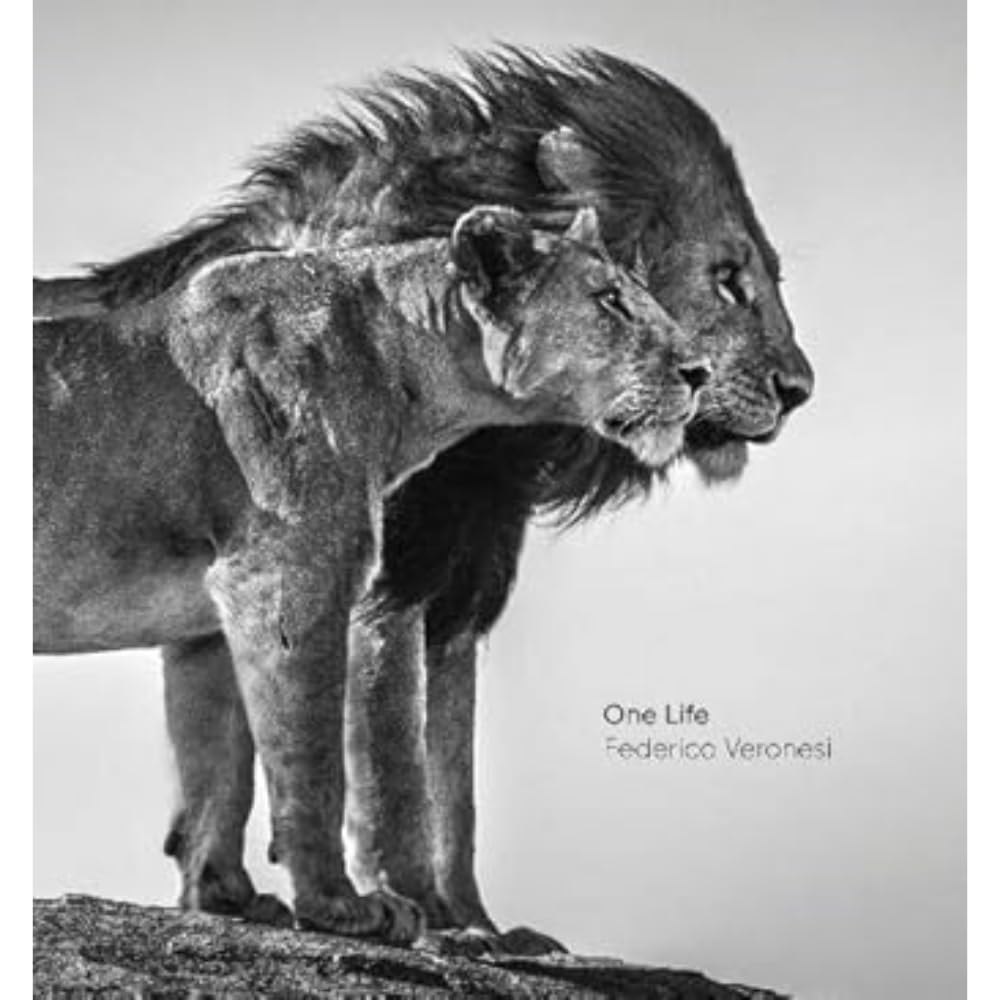 One Life by Federico Veronesi (Hardback Book)