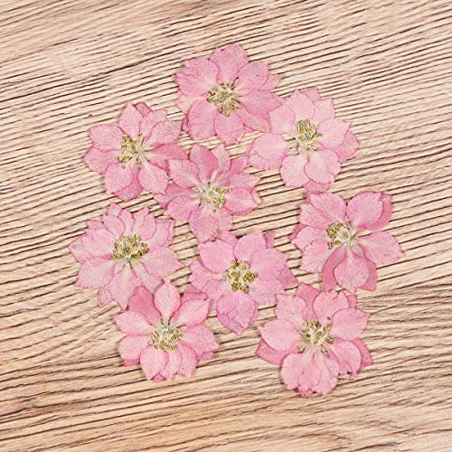 20 piezas de flores secas para decoración artesanal miniatura 3
