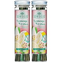 Scentsicles Lemons n Lilies Scented Ornaments 2 Pack | 12 Sticks and 4 Scenter Stakes Total