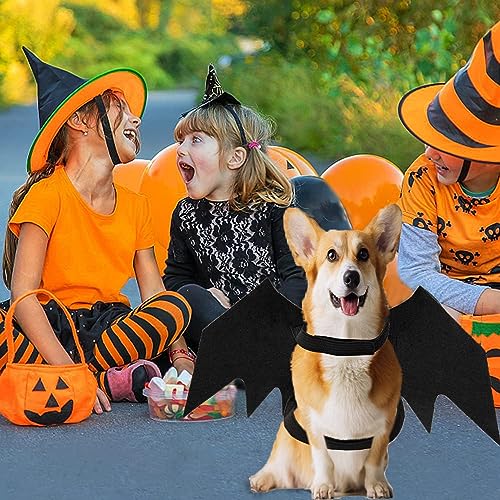 LIBRNTY Haustier Fledermausflügel,Halloween Haustier Kostüm,Katze Hund Fledermaus Kostüm,CHundekostüme,Dekoration,Schwarze Bekleidung für große Katzen Hunde(Neues Upgrade im Jahr 2023 schwarz,groß)