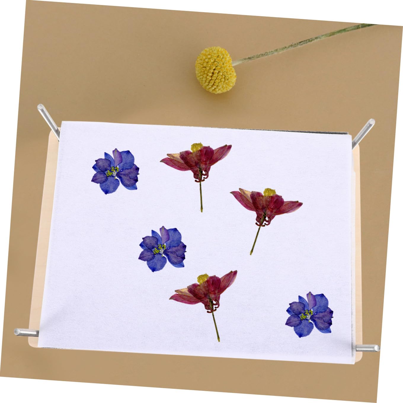DOITOOL Kit per Pressa di Fiori in Legno e Metallo Pressatura Multistrato, Strumenti per Conservazione Botanica Fai da Te, Adatto per Giovani e Artigianato DIY
