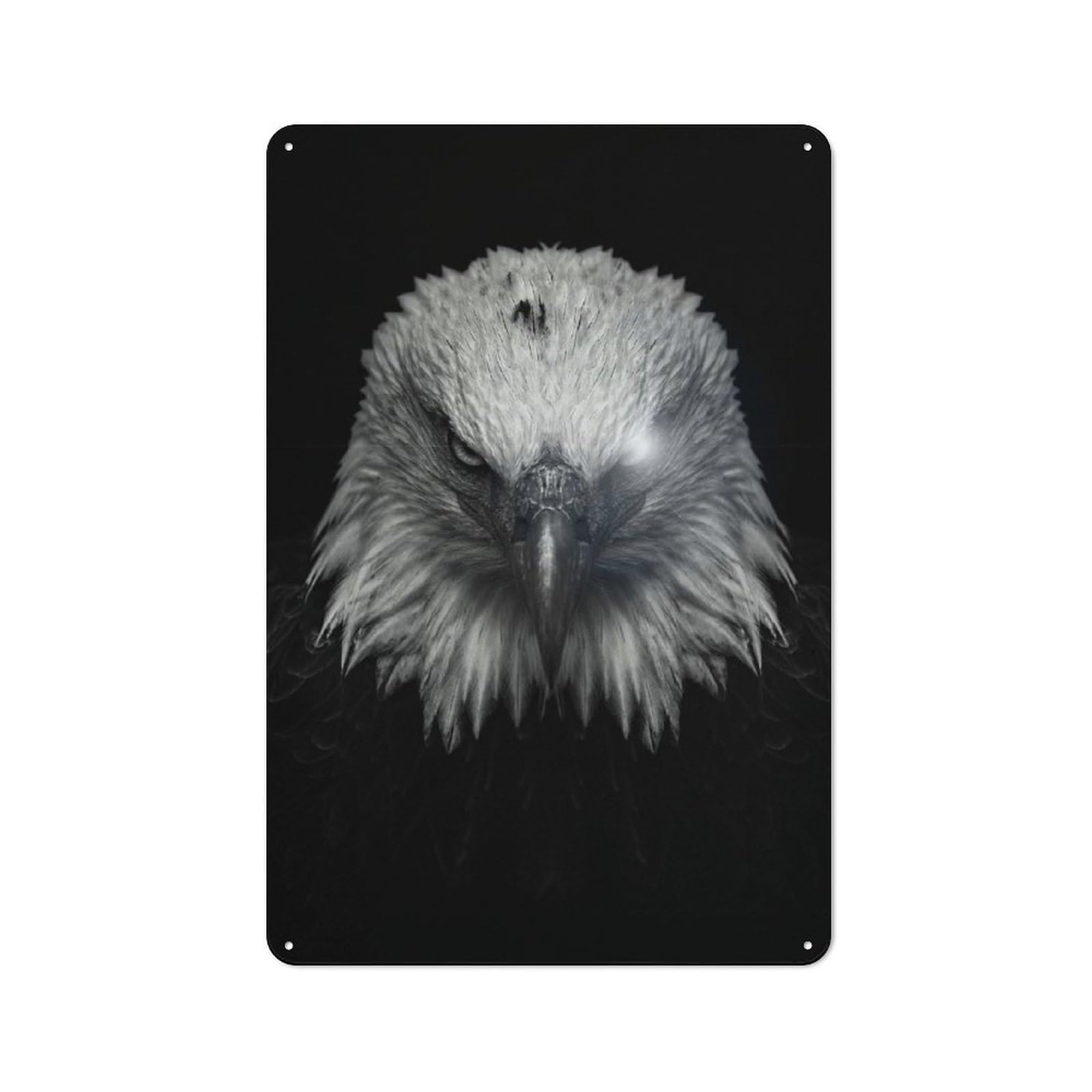 Junmoney Style-20 Retro Metal Wall Sign 30X20cm Featuring Angry Eagle Poster For Garage Wall, For Garage, Workshop And Man Cave Decoration