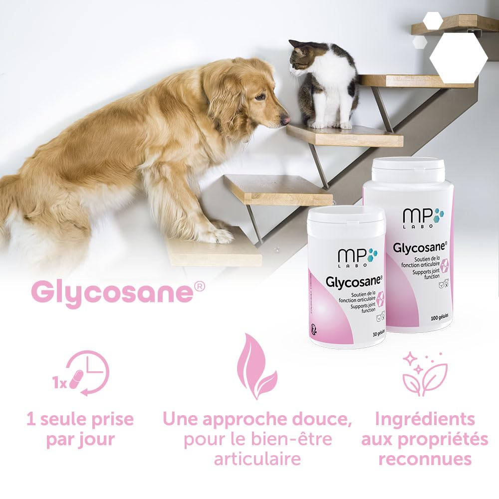 MP Labo Glycosane® - Soutien de la Fonction Articulaire pour Chien et Chat (100 gélules)