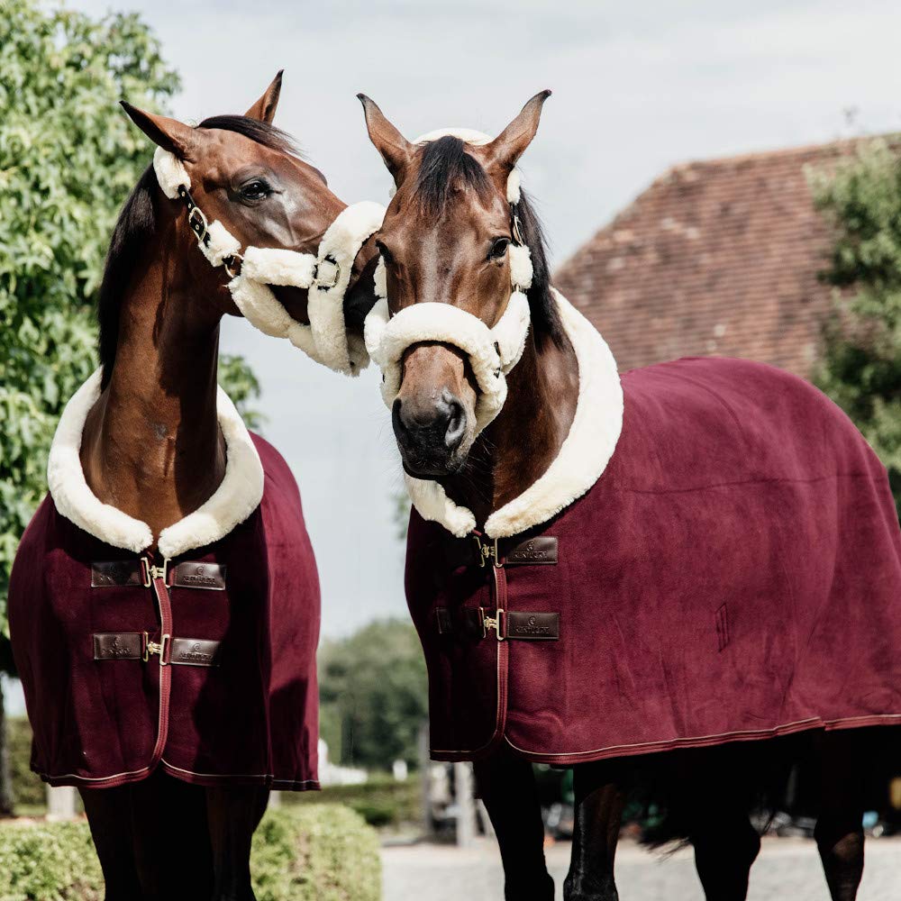 Kentucky Show Heavy Cooler Blanket Size 140 Bordeaux