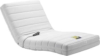 電動リクライニングマットレス RP-1000 楽天市場】フランスベッド 電動リクライニングマットレス