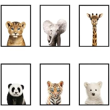 Mysy Leon Panda Elefante Jirafa Bebe Animales Lamina Poster Safari Animales Imagenes Lienzo Pintura Kids Room Nursery Wall Decor 21x30cmx6 Pcs Sin Marco Decoracion Del Hogar Decoracion Infantil Newsni Com