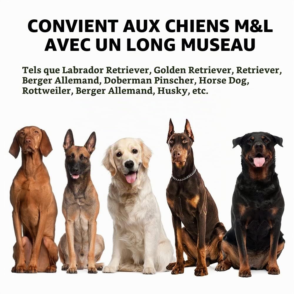 DONGKER Muselière pour Chien,Muselière en Cuir pour Chien,Réglable pour Moyen Grand pour Éviter D'arrêter de Mordre,D'aboyer et EE Mâcher