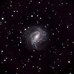 Review Image by luis pena garcia luis pena garcia