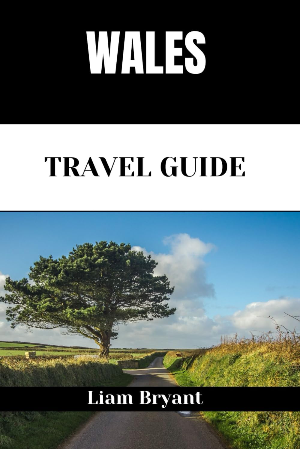 WALES TRAVEL GUIDE: Discover Wale’s Attractions, Accommodations, and Activities. Practical Tips and Local Insights