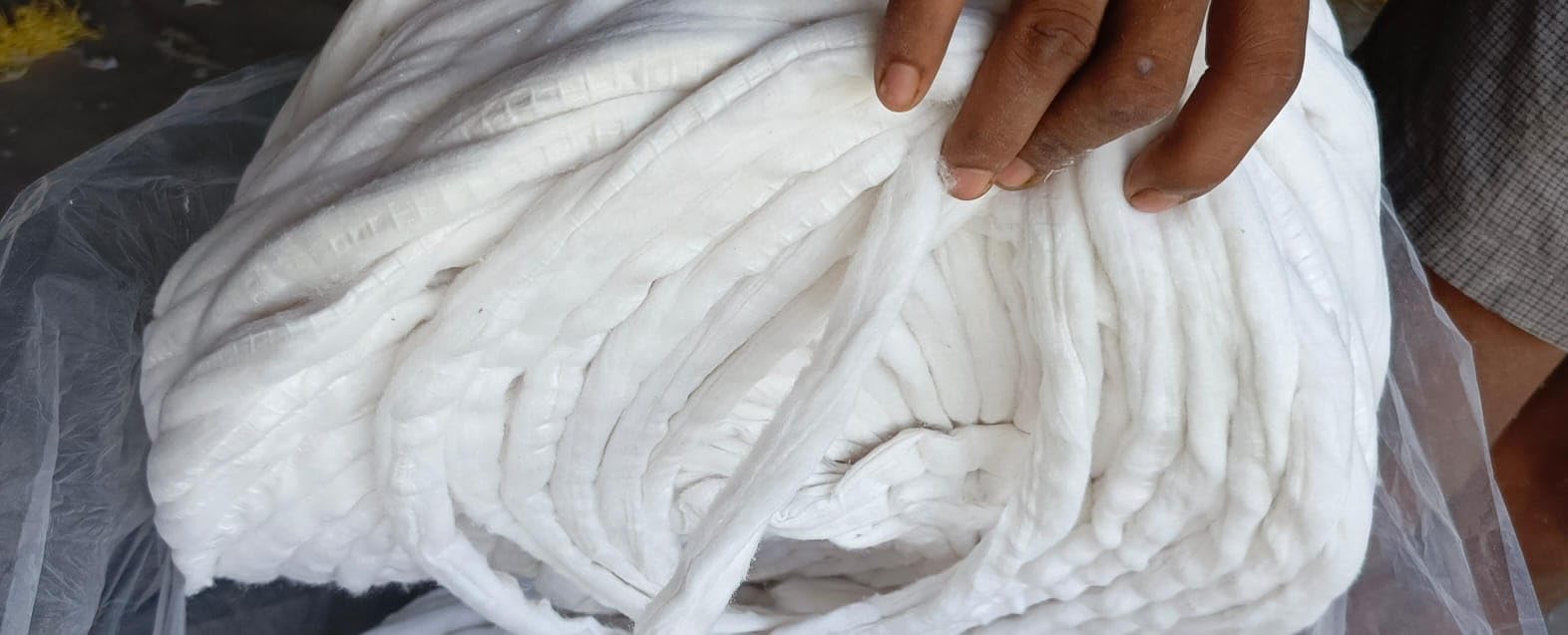 rui batti raw Cotton