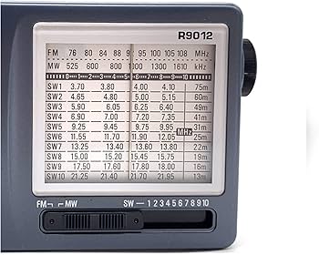 Amazon.co.jp: ポータブルDVDプレーヤー R-9012 AM/FM/SW 12バンド高