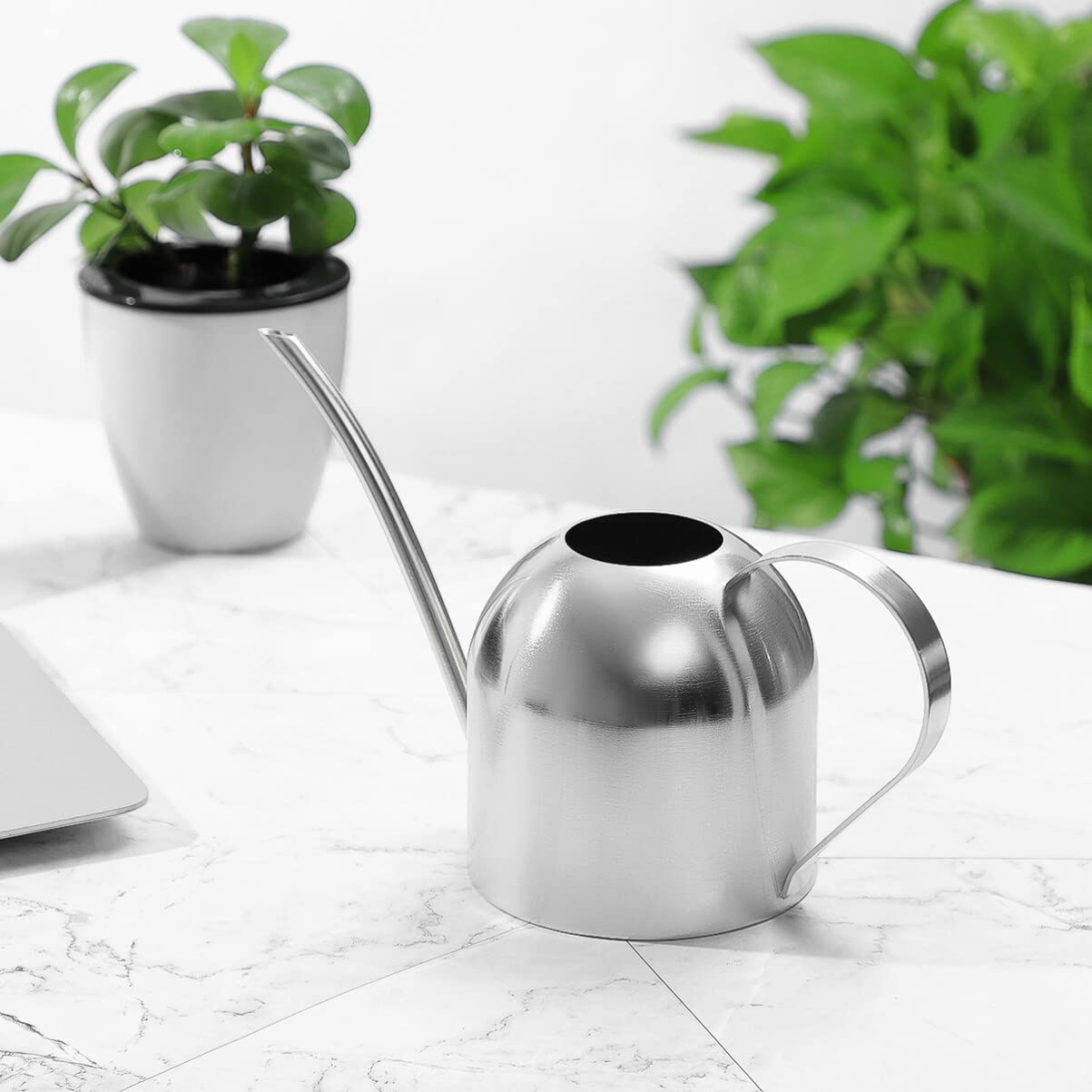 Annaffiatoio in acciaio inox, 1000 ml, annaffiatoio per fiori da giardino, vaso per piante, beccucci, annaffiatoio da giardino, per famiglia, ufficio, piante in vaso, bonsai (oro)