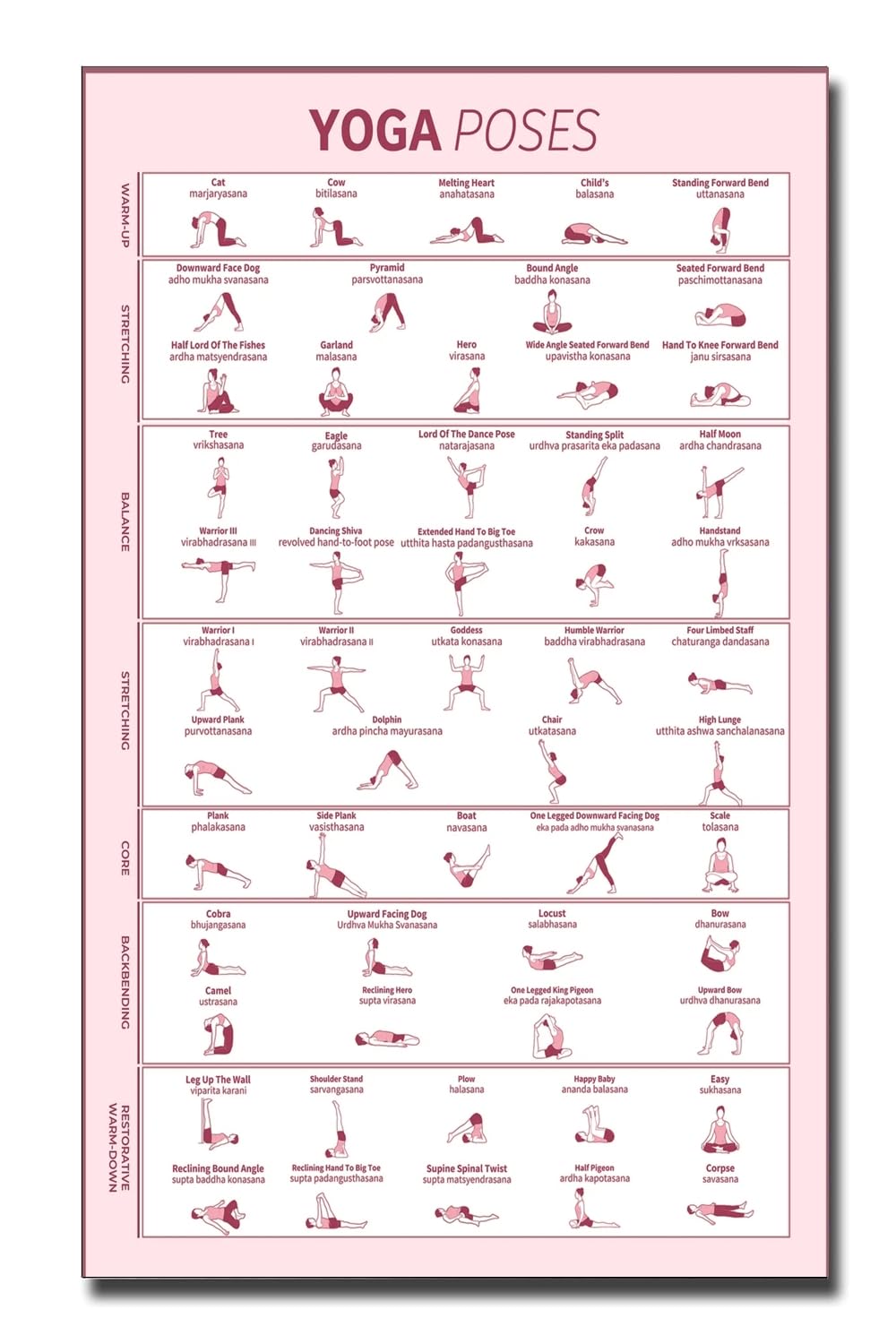 PIXELARTZ Wall Poster Yoga Poses & Mudras Wall Poster 56 Asanas HD Quality Motivational Yoga Chart Poster for Full Body Workout, Mediation, and Yoga Studio- Multicolor