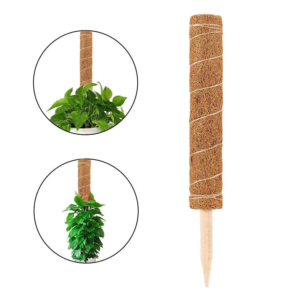 Thrivinger 60cm Coir Moss Stick Coir Moss Totem Pole, Coco Coir Poles