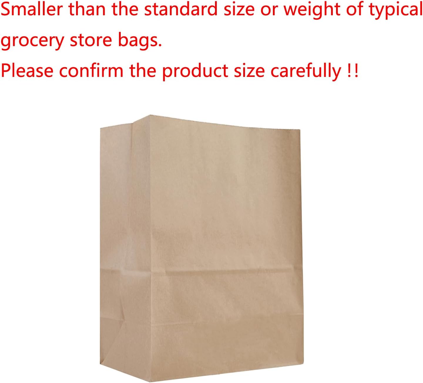 9.8x5.5x12.9 inch Kraft Brown Paper Bags Medium Brown Paper Grocery Bags Take Out Bags-18 Pack