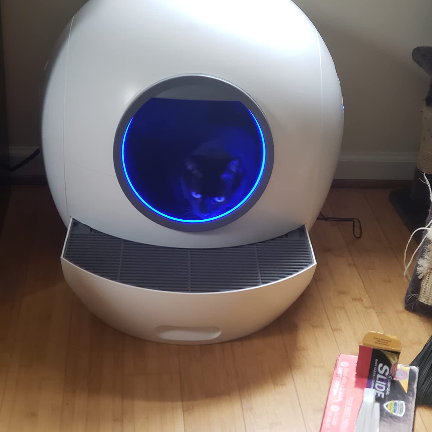 48/mo Finance Hillpig SelfCleaning Cat Litter Box Extra Large