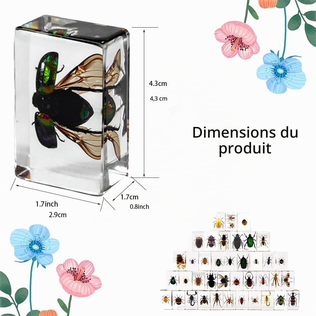 12 pièces d'insectes en résine,Véritables spécimens d'insectes Transparents en résine,Insectes pour Enfants pour l'école Maternelle, la Science Avec loupe et carte d'instructions sur les insectes