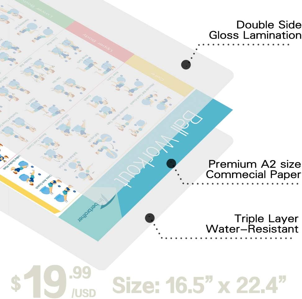 Timberbrother Exercise Ball Chair with Workout Poster Yoga Ball Chair with Resistance Bands & Pump (Violet with Ring & Bands) : Sports & Outdoors