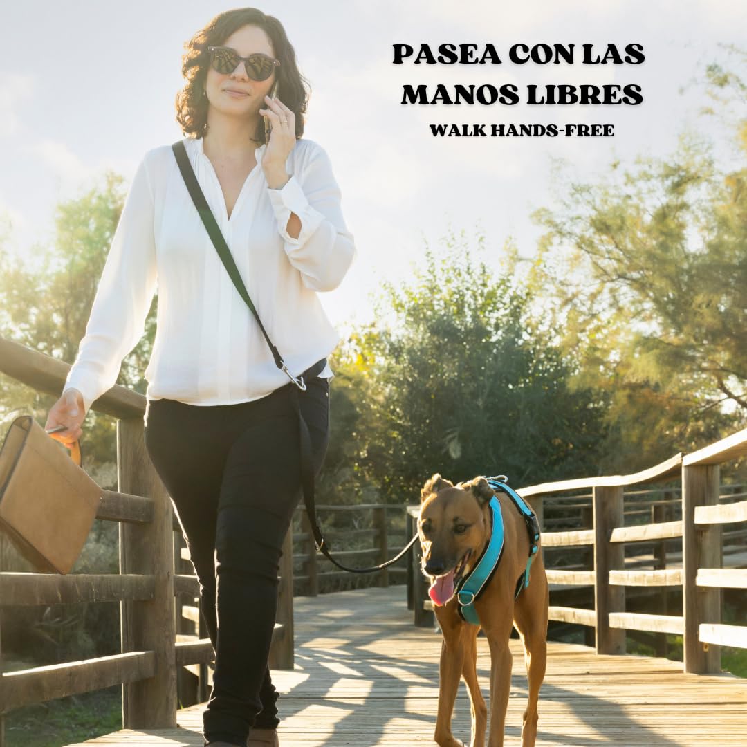 candyPet Hands-Free Multi-Position Dog Leash – 12-in-1, Adjustable to 7 Lengths, Neoprene Padded, 240cm/95in – Ideal for Training, Running, Walking – Double Leash for All Dog Sizes?