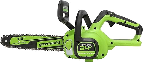 Greenworks motosierra de 12pulgadas y 24V Motosierra sin escobillas, solo la herramienta, CS24L00
