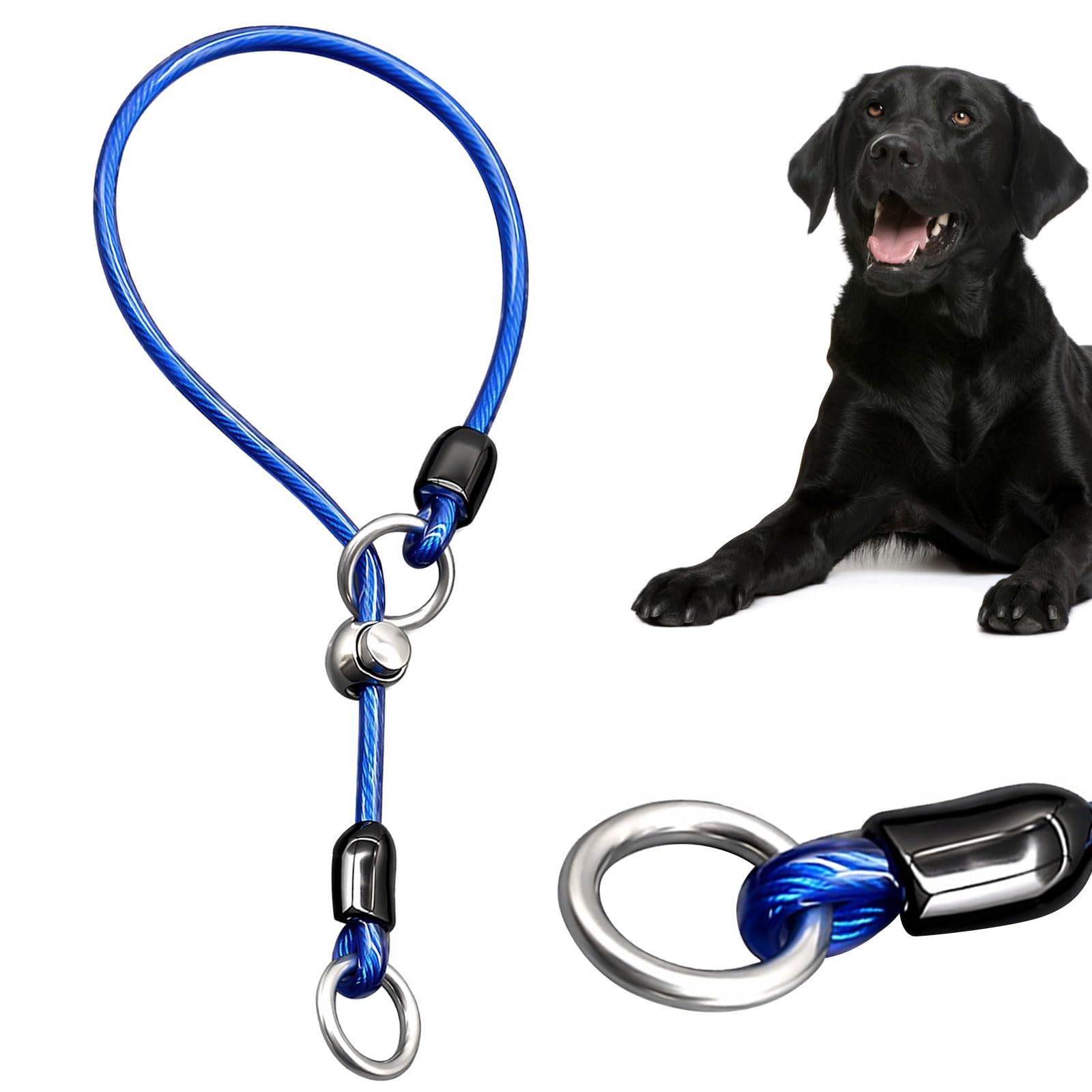 Blue Rope Slip Collar for Dogs, Adjustable Training & Walking Collar
